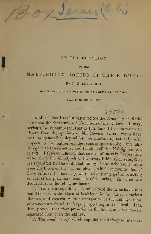 eGFR 59? Kidney Results Explained: Creatinine, eGFR and When to Upload